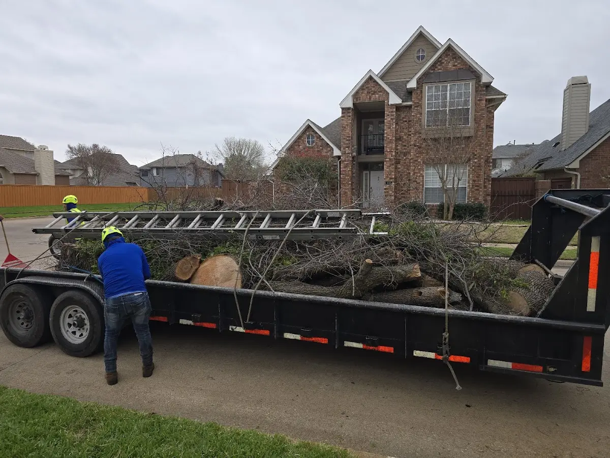 Expert Tree Fertilization with proper safety equipment in Vail